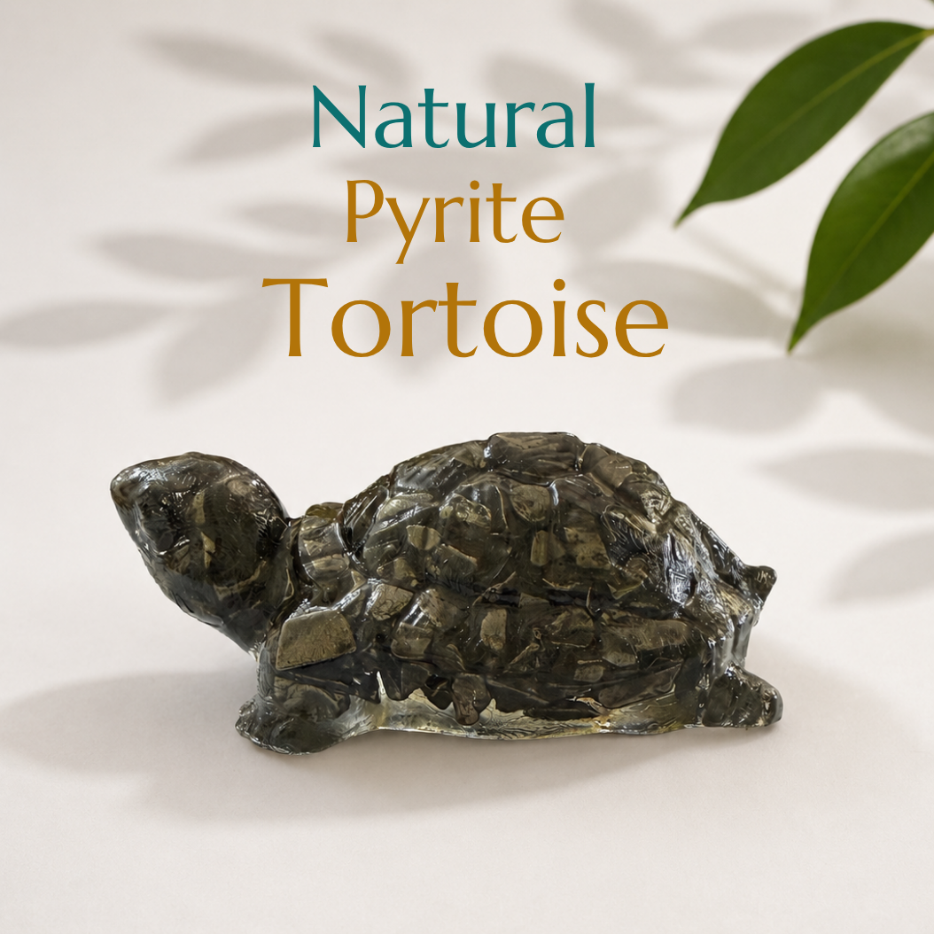 Pyrite Tortoise: Complete Guide