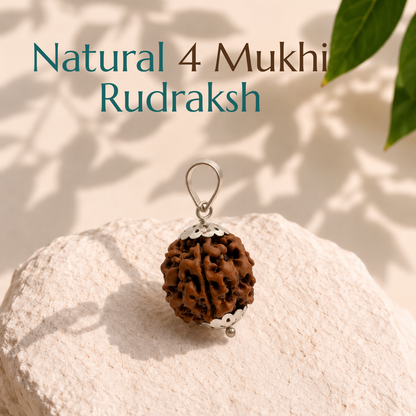 Natural 4 Mukhi Rudraksha | The Bead of Knowledge, Creativity & Clarity