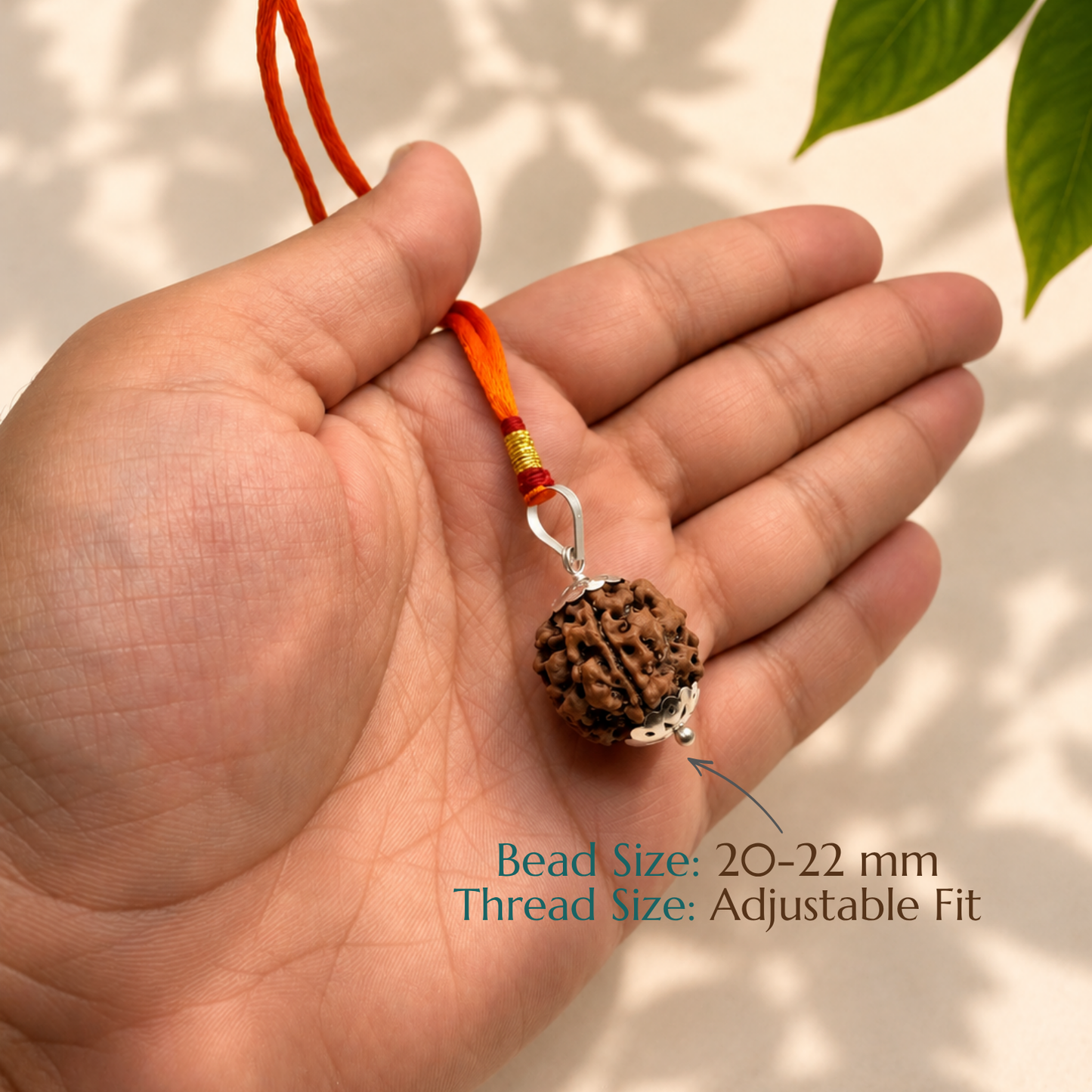 Natural 4 Mukhi Rudraksha | The Bead of Knowledge, Creativity & Clarity