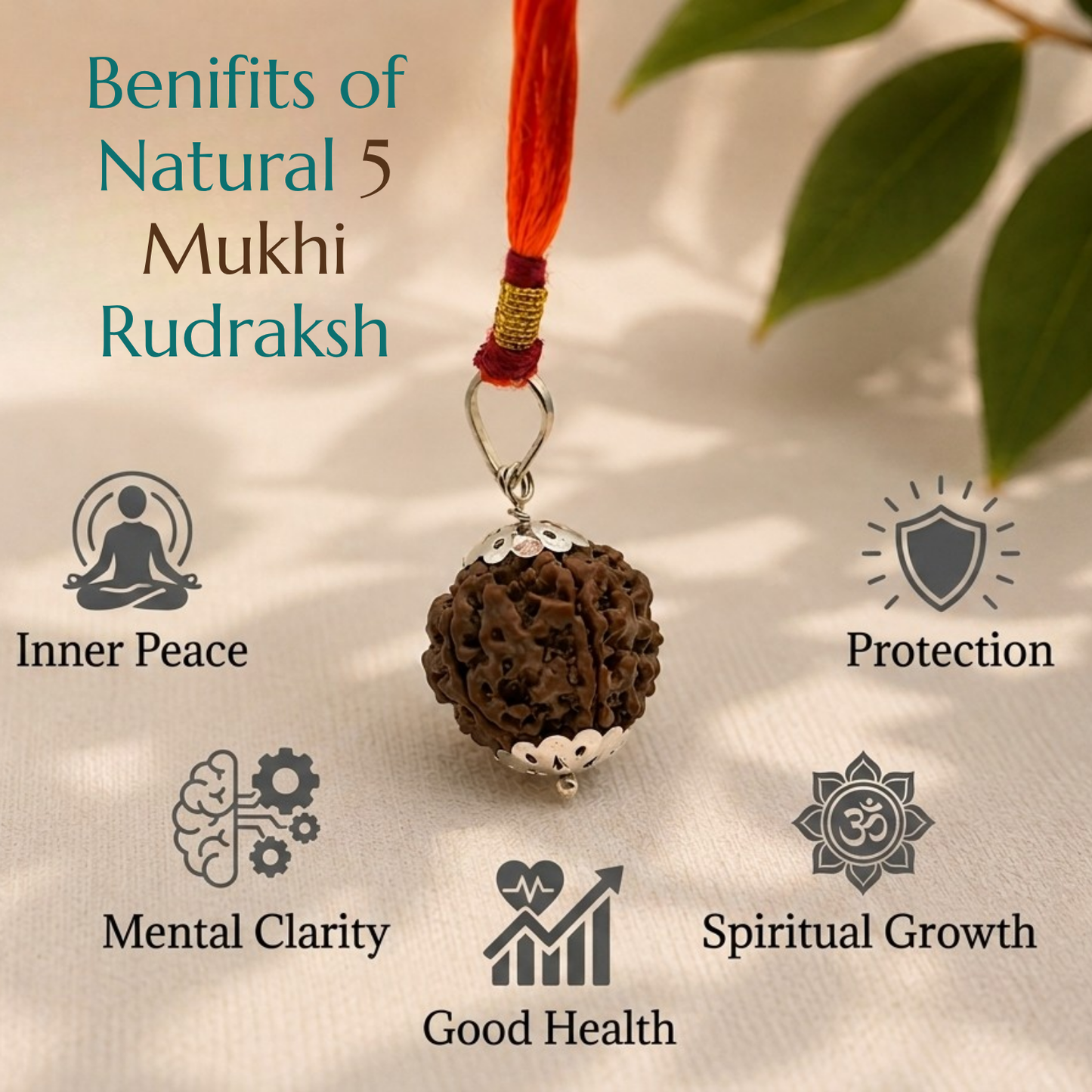 Natural 5 Mukhi Rudraksha | The Bead of Wisdom, Peace & Spiritual Growth