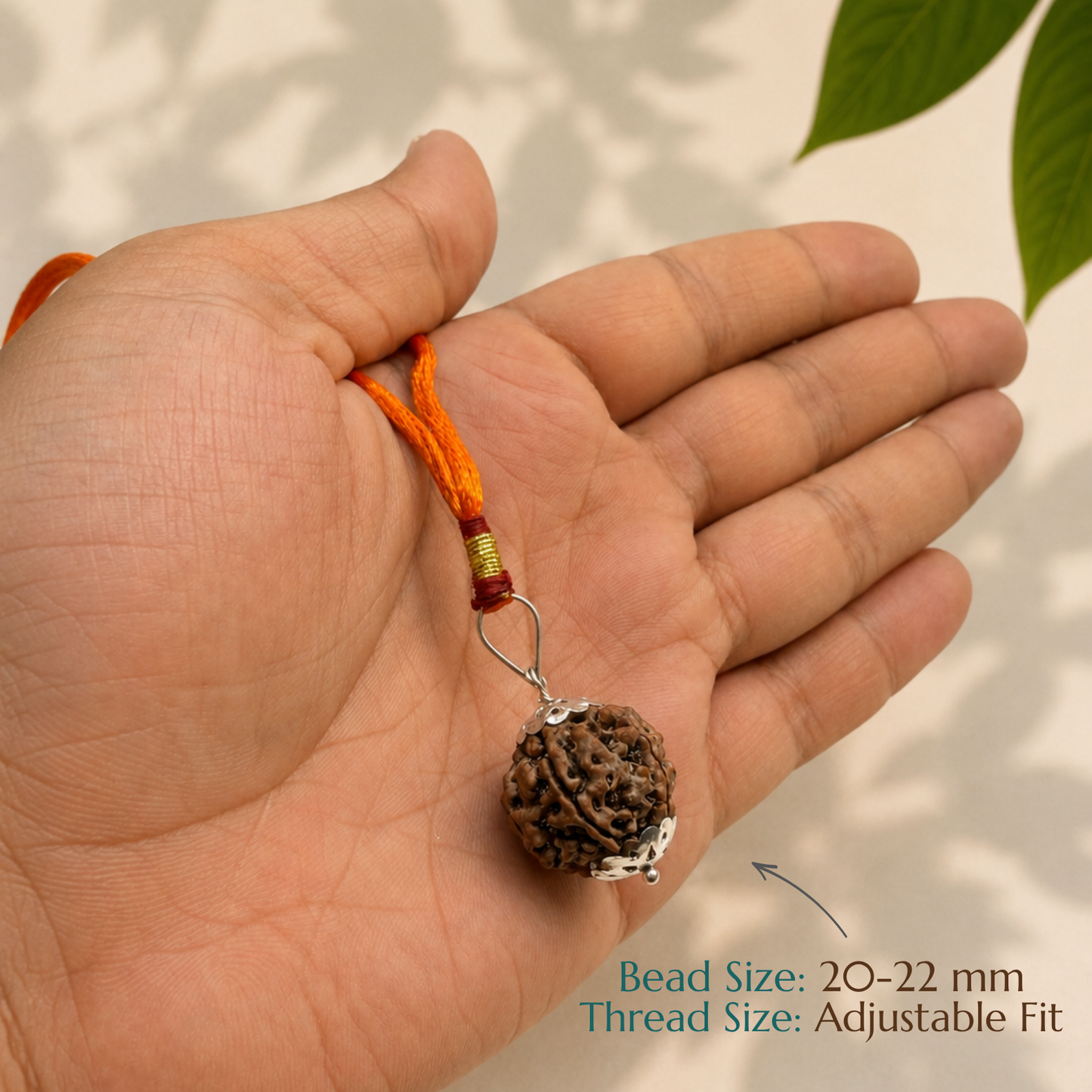 Natural 5 Mukhi Rudraksha | The Bead of Wisdom, Peace & Spiritual Growth