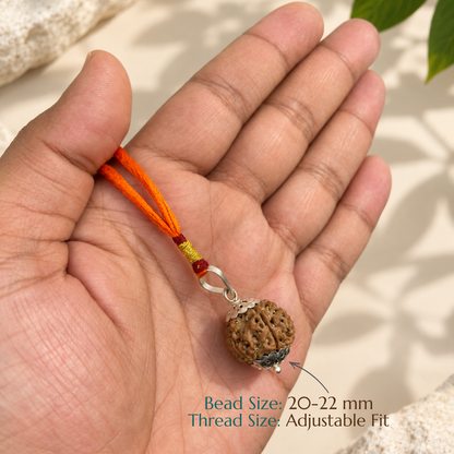 Natural 6 Mukhi Rudraksha | The Bead of Courage, Focus & Willpower