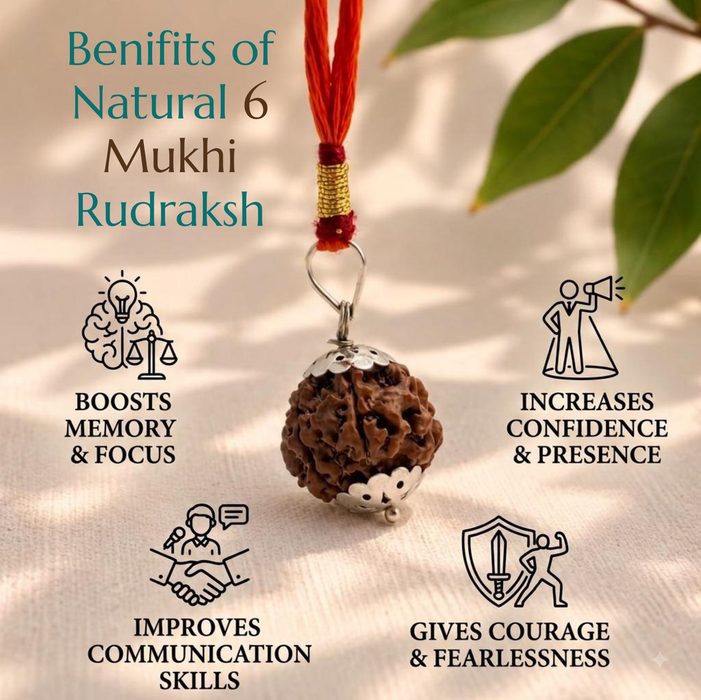 Natural 6 Mukhi Rudraksha | The Bead of Courage, Focus & Willpower