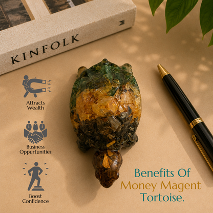 Natural Money Magnet Tortoise | Prosperity, Growth & Steady Success